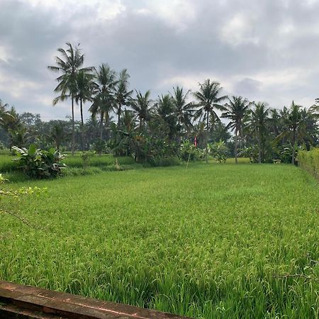 Adi Laxmi Villa Ubud 외부 사진